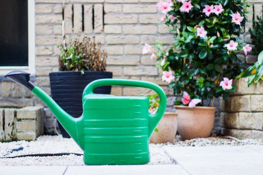 Photo Watering can
