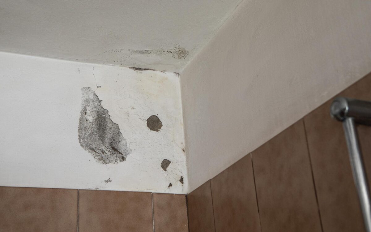 Cum repari fisurile fine din pereți înainte de zugrăvire