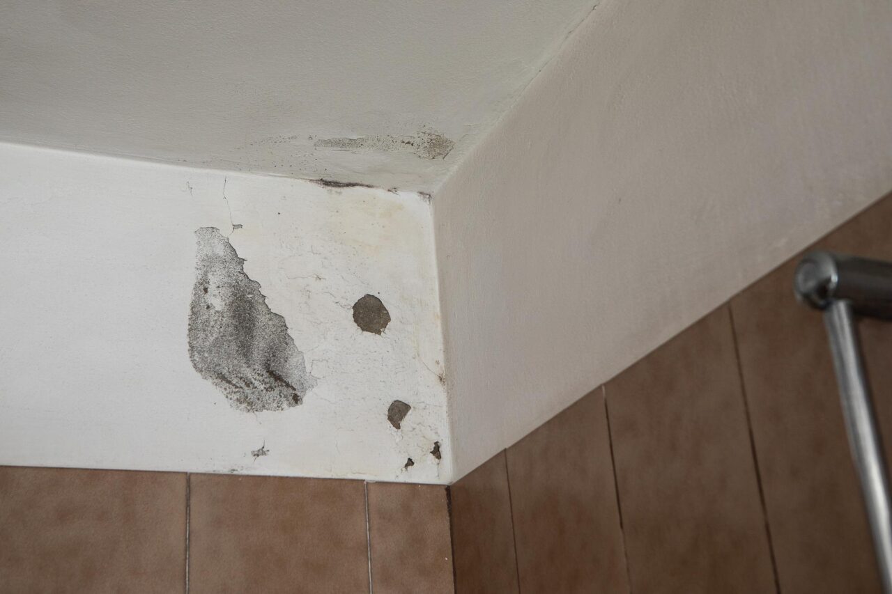 Cum repari fisurile fine din pereți înainte de zugrăvire